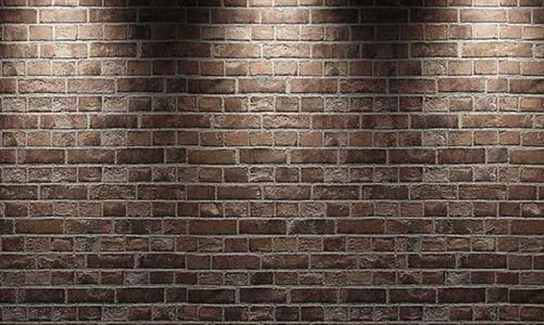 دیوارکشی روی پل پارک؛ تقسیم بندی زنانه و مردانه!