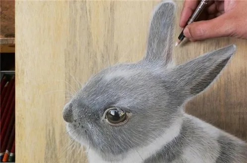 نقاشی‌های زیبای سه‌بعدی +تصاویر