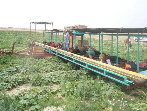 دراز بکشید و پول در آورید +عکس