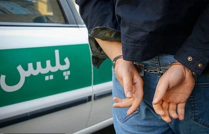 خفت گیری در روز روشن از پیرزن اردبیلی + فیلم