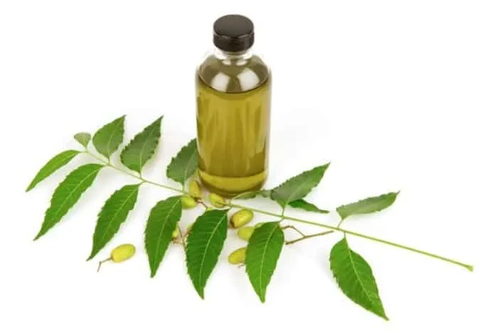 درمان گیاهی اگزما با ۱۰ نسخه طب سنتی
