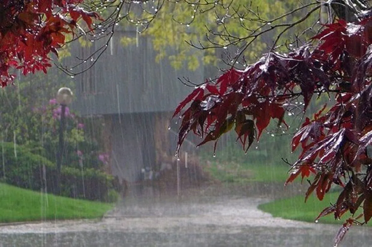 کاهش نسبی دمای هوا در شمال غرب کشور