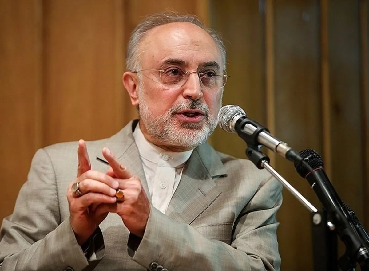 علی اکبر صالحی: اسرائیل روز به روز از اهدافش دور شده و مقاومت روز به روز با اهدافش نزدیک‌تر شده است