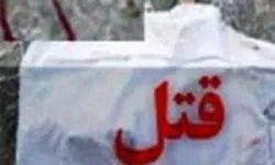 راننده از ترس، جسد مسافر را دفن کرد