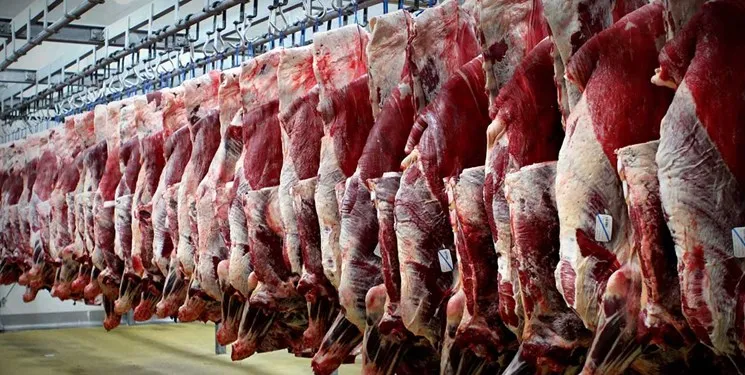 جریمه ۸۱۲میلیونی بابت احتکار ۴تن گوشت وارداتی