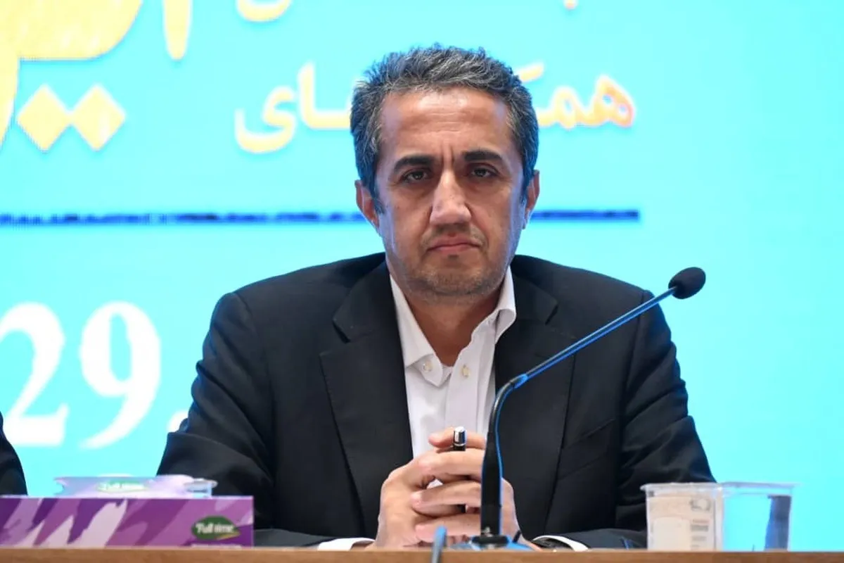 ایمیدرو آماده ایجاد فضای مشترک همکاری‌های معدنی با آفریقا
