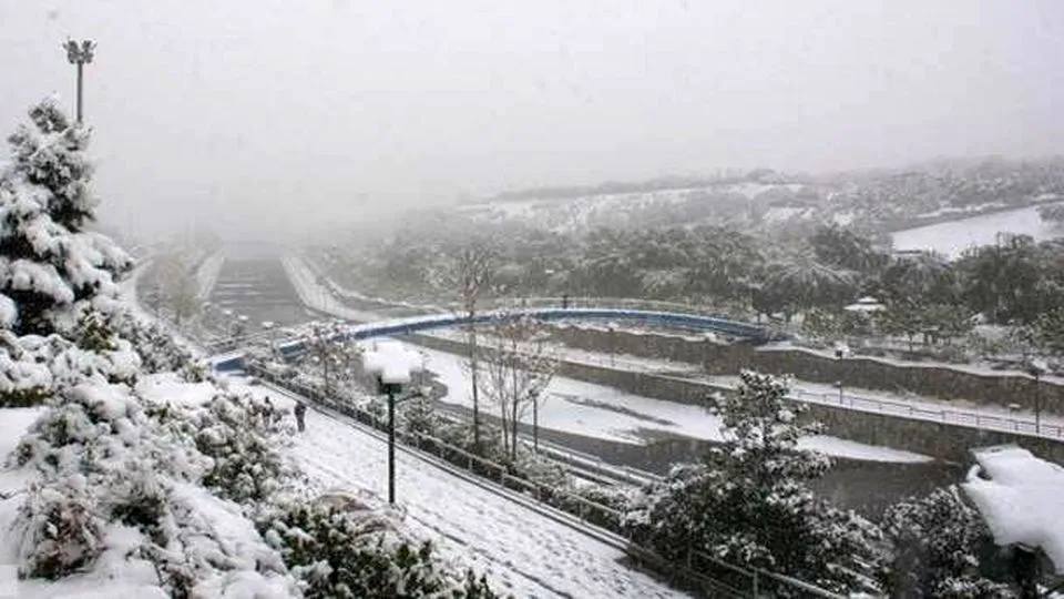 شمال تهران در مه غلیظ فرو رفت + فیلم