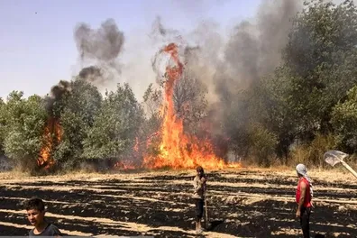 گسترش-جنگ-به-اروپا-چرا-حزب-الله-قبرس-را-تهدید-کرد
