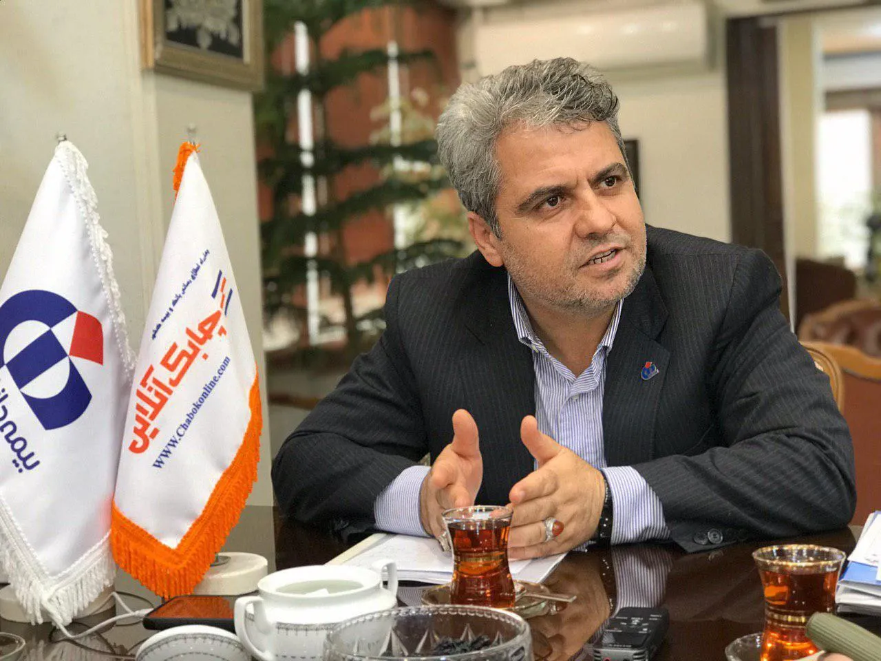 خصوصی&zwnj;سازی شرکت&zwnj;های بیمه&zwnj;ای به درستی اجرایی نشد