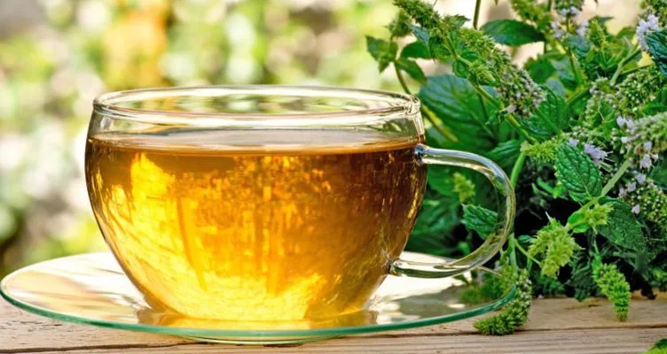 تاثیر شگفت انگیز چای بادرنجبویه در درمان آریتمی قلبی