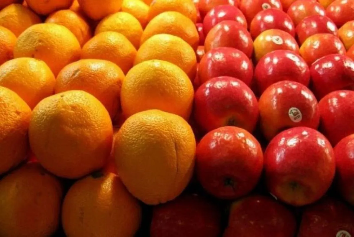 میوه شب عید ۲۵ تا ۳۰ درصد زیر قیمت بازار