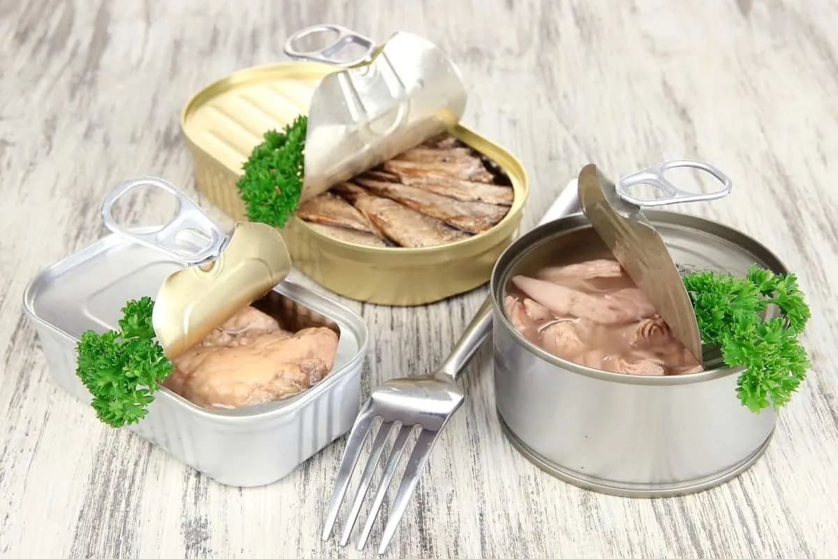 کدام نوع کنسرو ماهی کم خطرتر است؟
