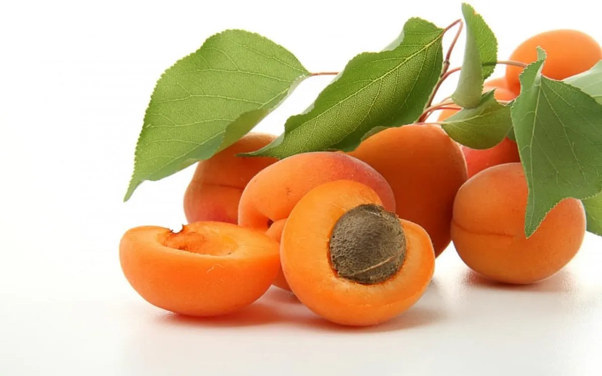 مضرات خوردن مغز هسته زرد آلو