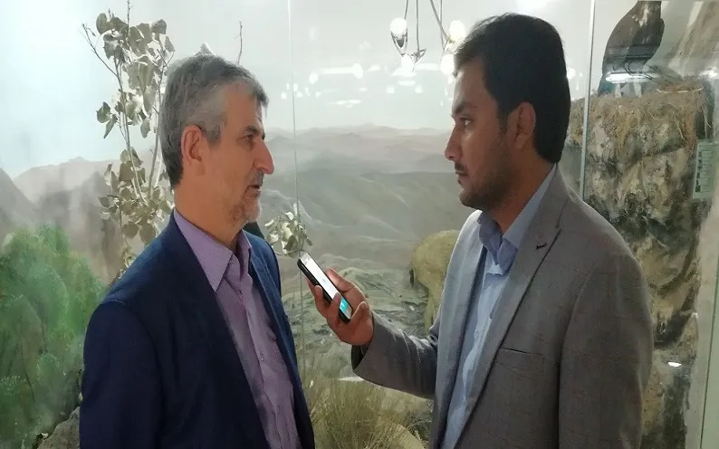 استخدام ۵۰۰ نفر در سازمان حفاظت محیط زیست