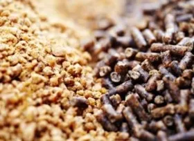 کاهش وابستگی به واردات خوراک دام و طیور