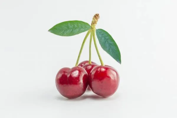 برای سلامت مو از روغن گیلاس استفاده کنید