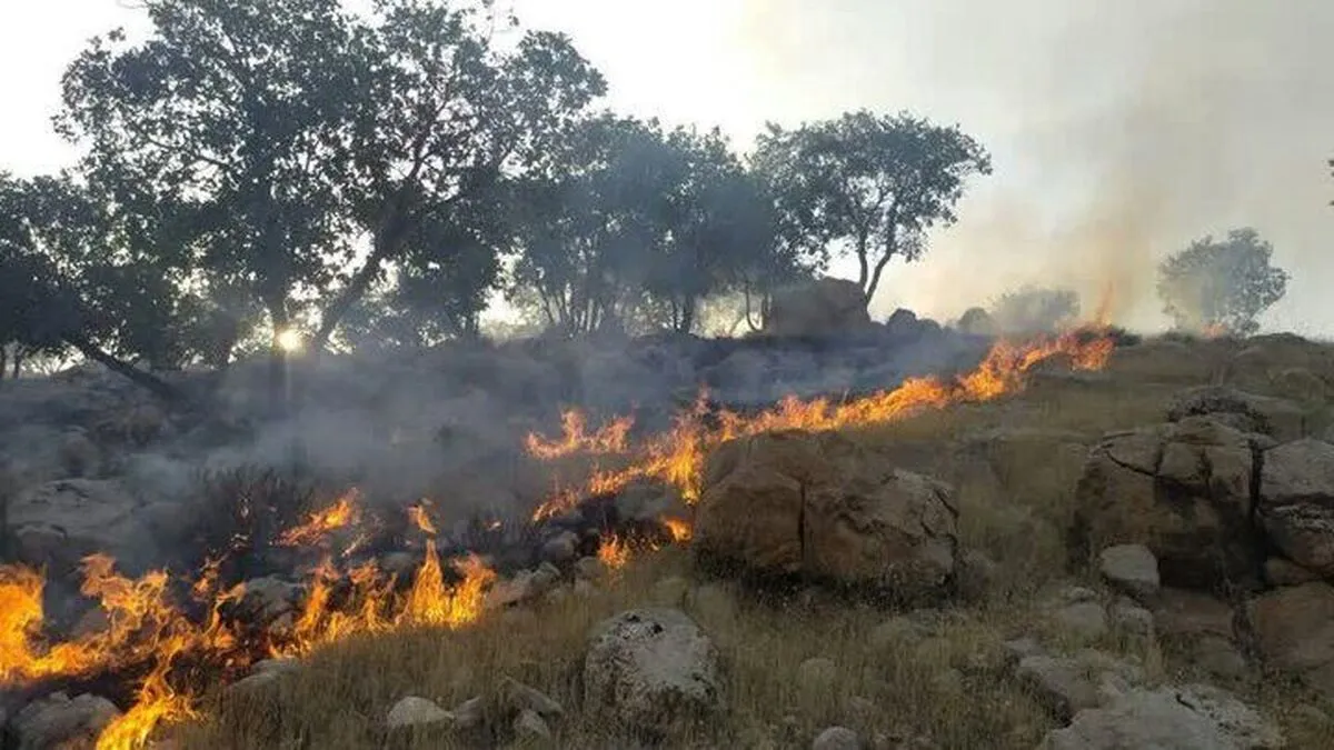 آتش سوزی شدید در کوه‌های سمغان