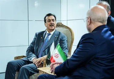 Pakistan Senate Chief Says Iran’s Progress Key to Regional Peace