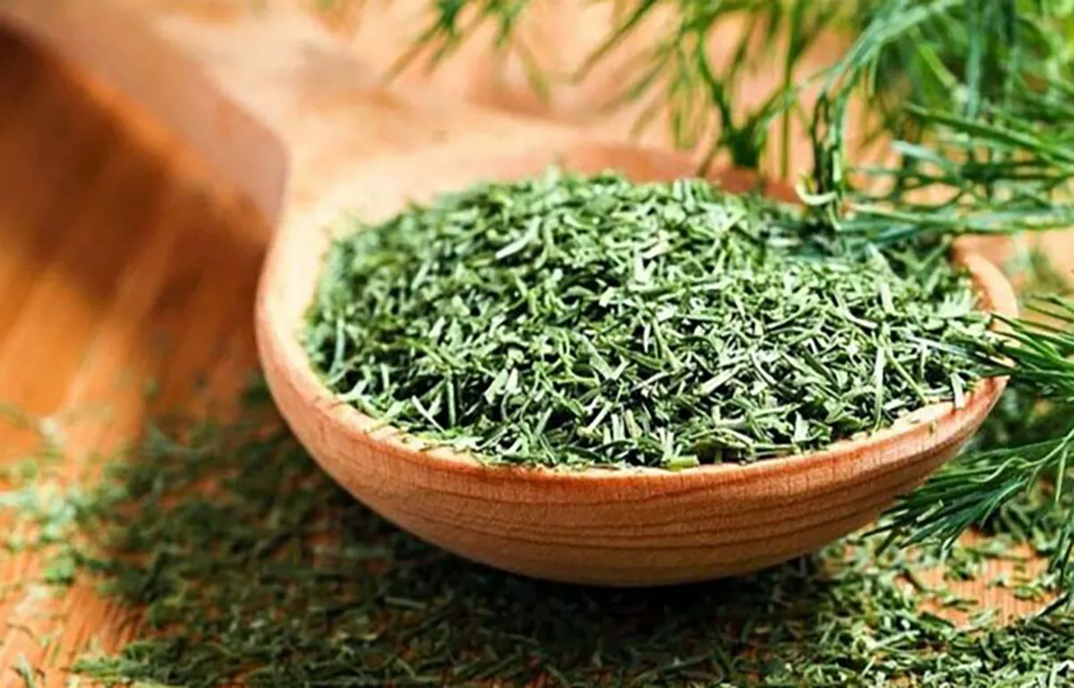 مصرف سبزی خشک بیشتر توصیه می شود یا فریز شده؟