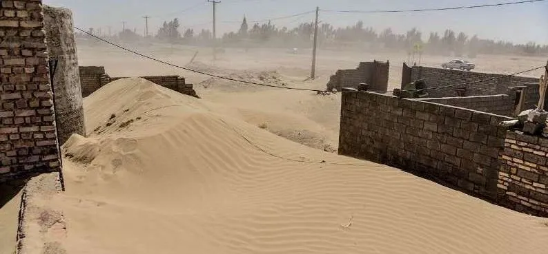 مدفون شدن گوسفندان زیر توفان شن + فیلم