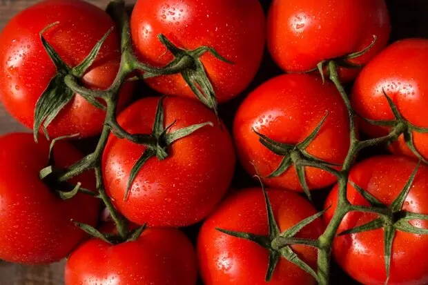چرا عراق محموله صادراتی گوجه ایران را برگشت زد؟