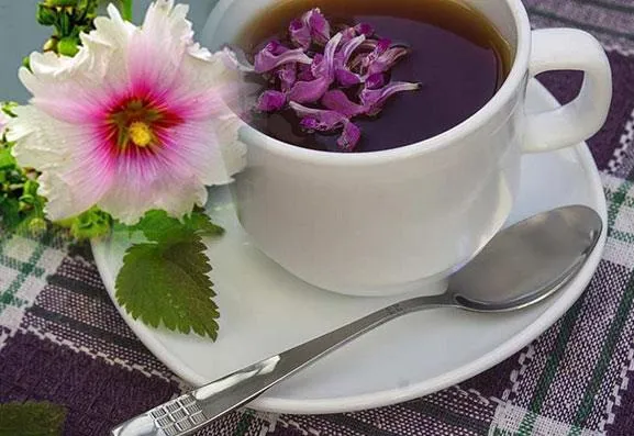 چگونه با کمک گیاهان دارویی آنفلوانزا را درمان کنیم؟