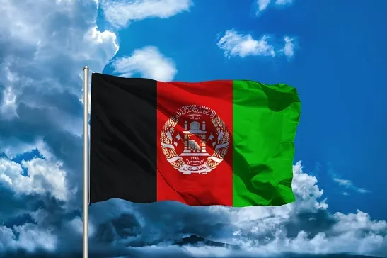 انتقال ۱۷۸ محکوم افغانستانی به کشور خود