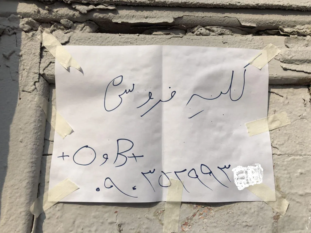 تبلیغ کلیه‌فروشی؛ ممنوع!