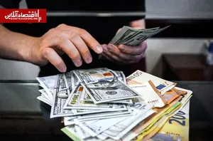 شرط موفقیت صندوق‌های ارزی | فرید موسوی: نباید درباره حجم ارزهای خانگی با اعداد غیرمستند صحبت کرد