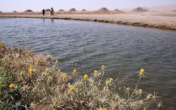 پینگ‌پنگ دولت و مجلس در احیای تالاب‌ها