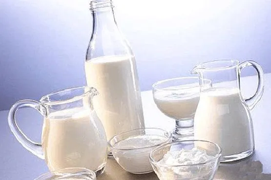 گزارشی از سرمایه‌گذاری در صنعت لبنیات