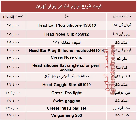 قیمت انواع لوازم شنا در بازار تهران +جدول