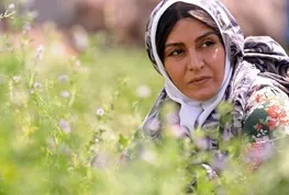 «شیار ۱۴۳» به جشنواره داکا می‌رود