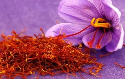 قیمت خرید هر کیلوگرم زعفران اعلام شد