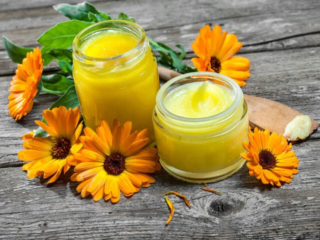 خواص شگفت انگیز گل همیشه بهار را بشناسید
