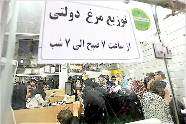 کمبود نهاده عامل تعطیلی مرغداری‌ها
