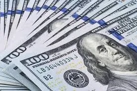 ترکیه: دلار اعتبار خود را از دست داده است