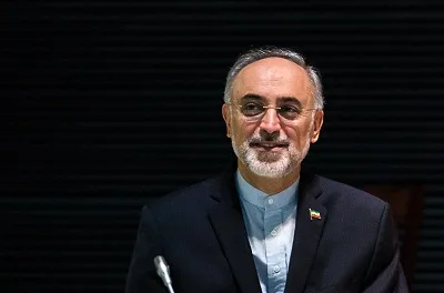 صالحی: مسئولیت فنی برجام را می‌پذیرم