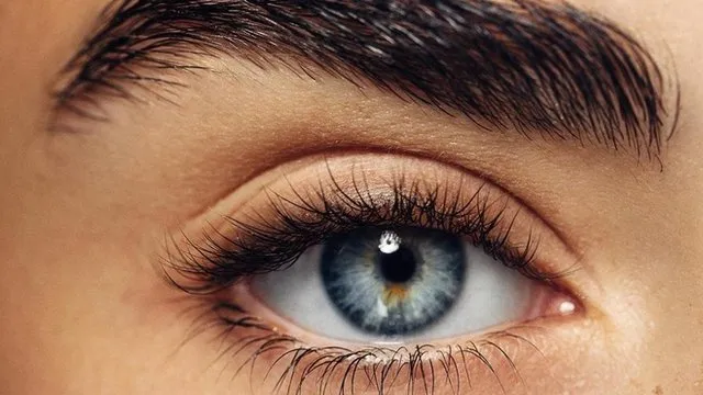 به جز هویج، چه خوراکی هایی چشم ها را تقویت می کند؟
