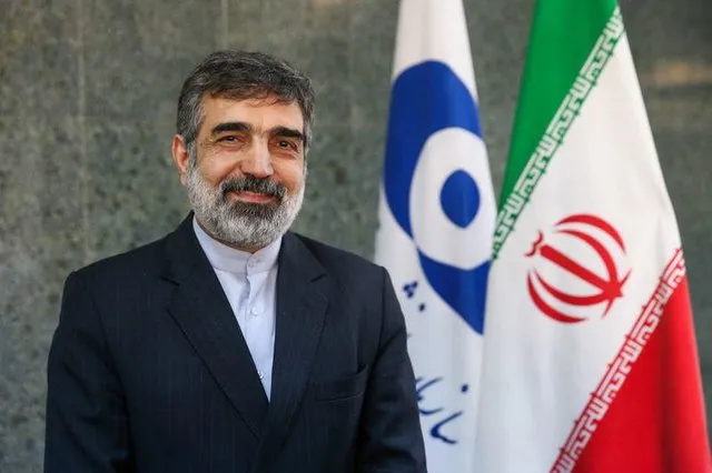 آخرین محموله کیک زرد فردا وارد کشور می‌شود