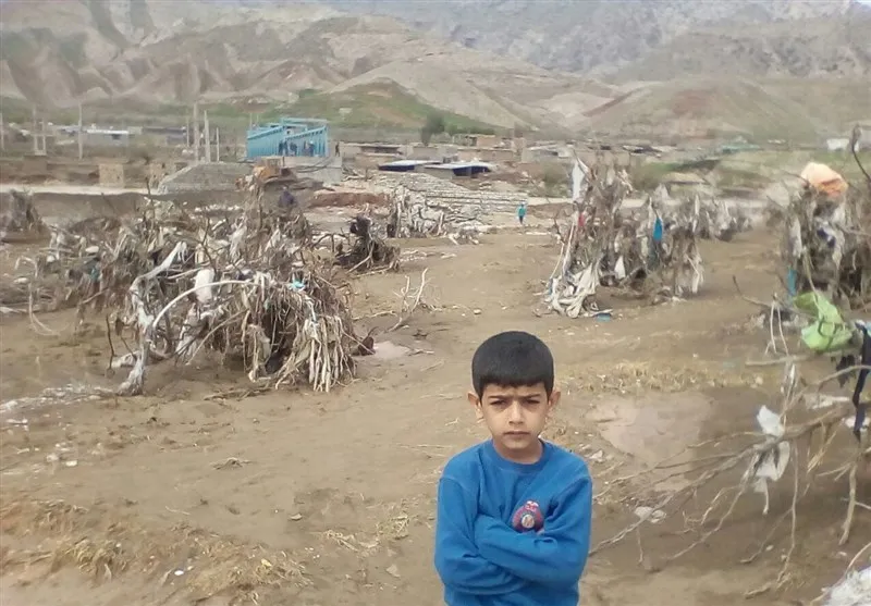 انجیرستان‎های پل‎دختر زیر گل +تصاویر