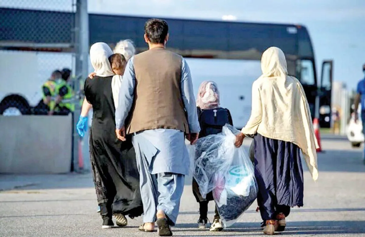 جدیدترین آمار اخراج افغان‌ها از ایران / زنگ خطر در افغانستان به صدا درآمد