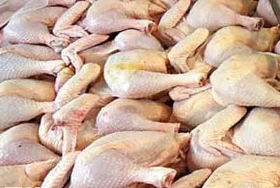 قیمت هرکیلو مرغ ۷۳ هزار ریال شد