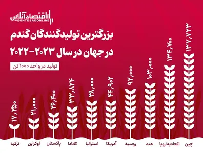 اینفوگرافی-بزرگترین-تولیدکنندگان-گندم-در-دنیا-چین-و-اروپا-در-صدر-تولید-گندم-جهان