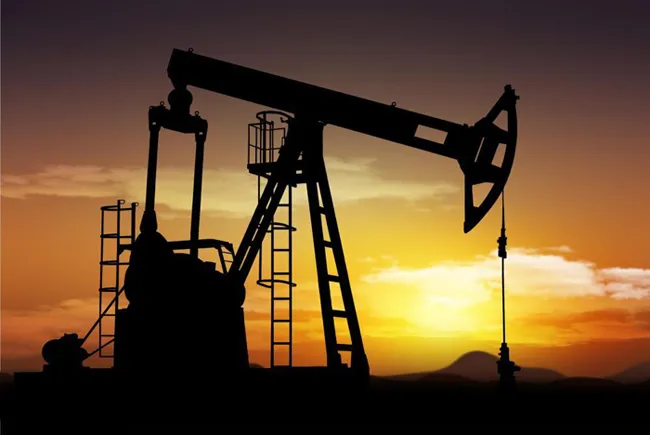 طلای سیاه در کویر «مرنجاب»