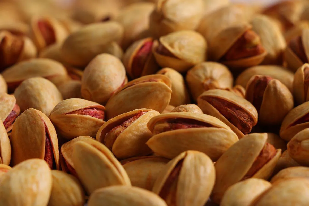 Pistachio Exports to Spain Accelerated by 58% in 2022