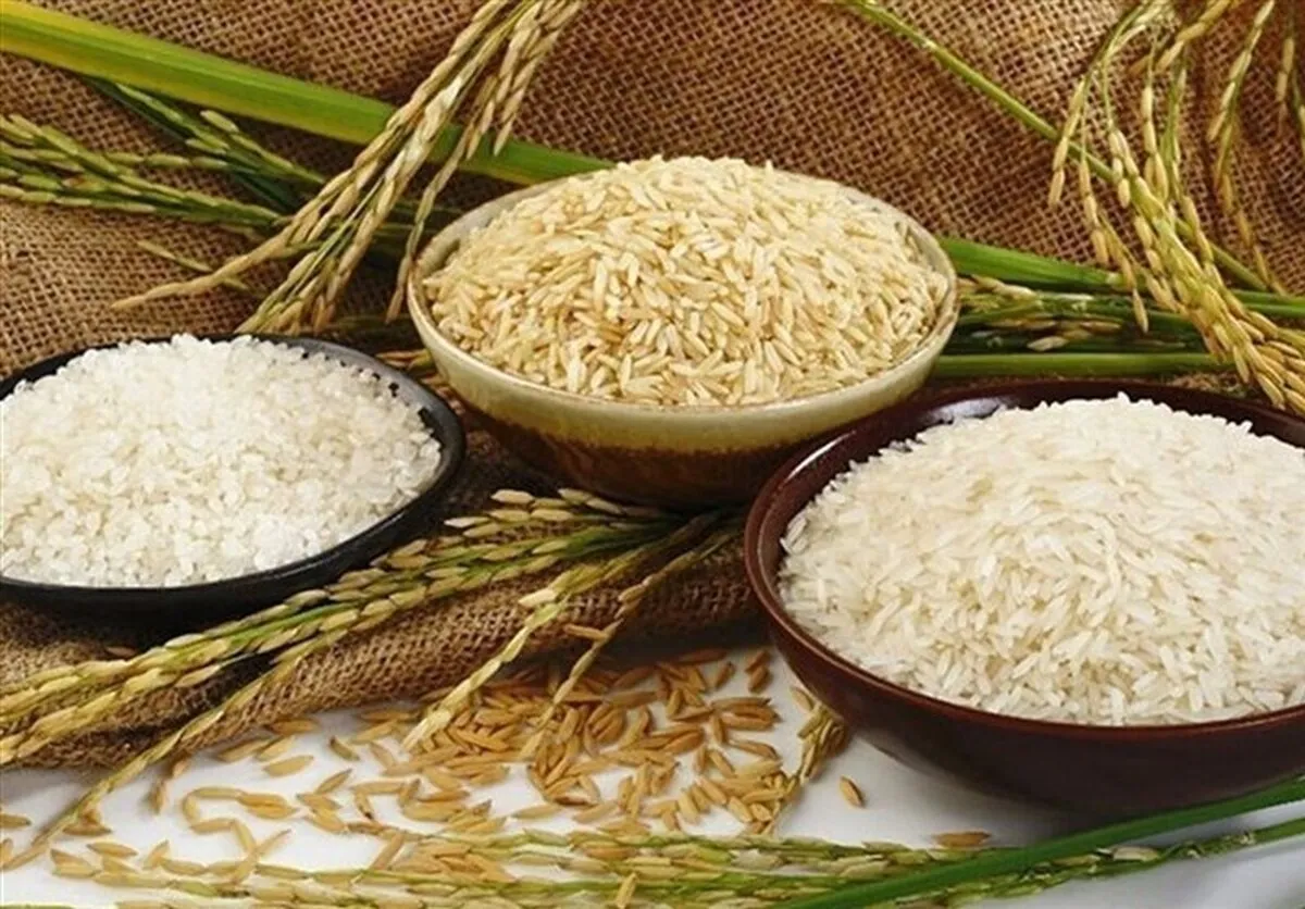لیست قیمت انواع برنج وارداتی مهر ماه ۱۴۰۴ / برنج درجه یک پاکستانی، هندی و تایلندی را کیلویی چند بخریم؟ + جدول