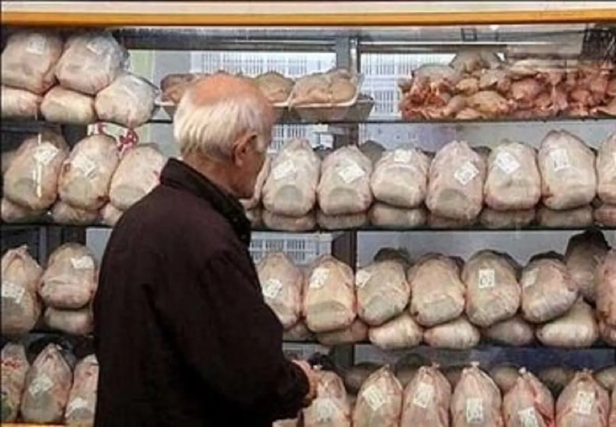 گران‌فروشی مرغ ادامه دارد