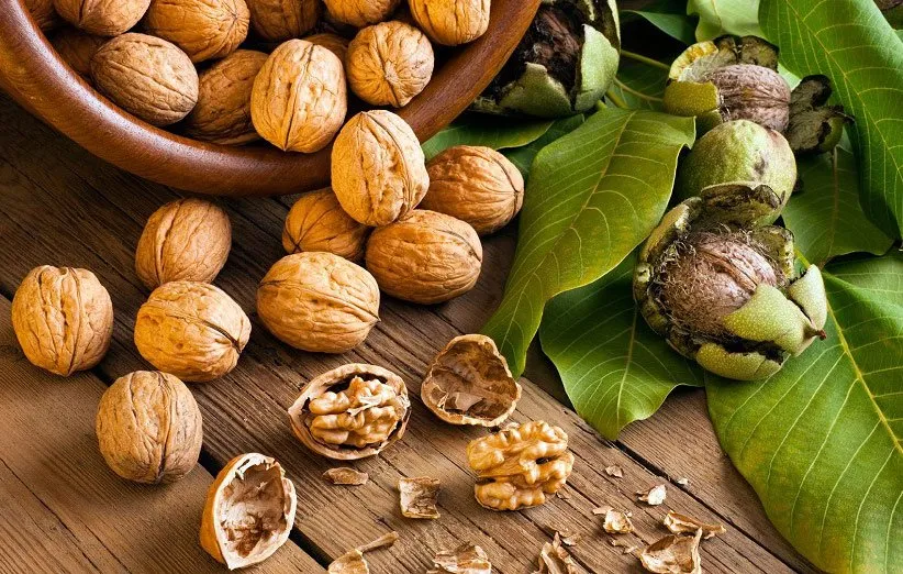 روش تشخیص گردو باکیفیت را بلد باشید تا سرتان کلاه نرود! + لیست قیمت انواع گردو