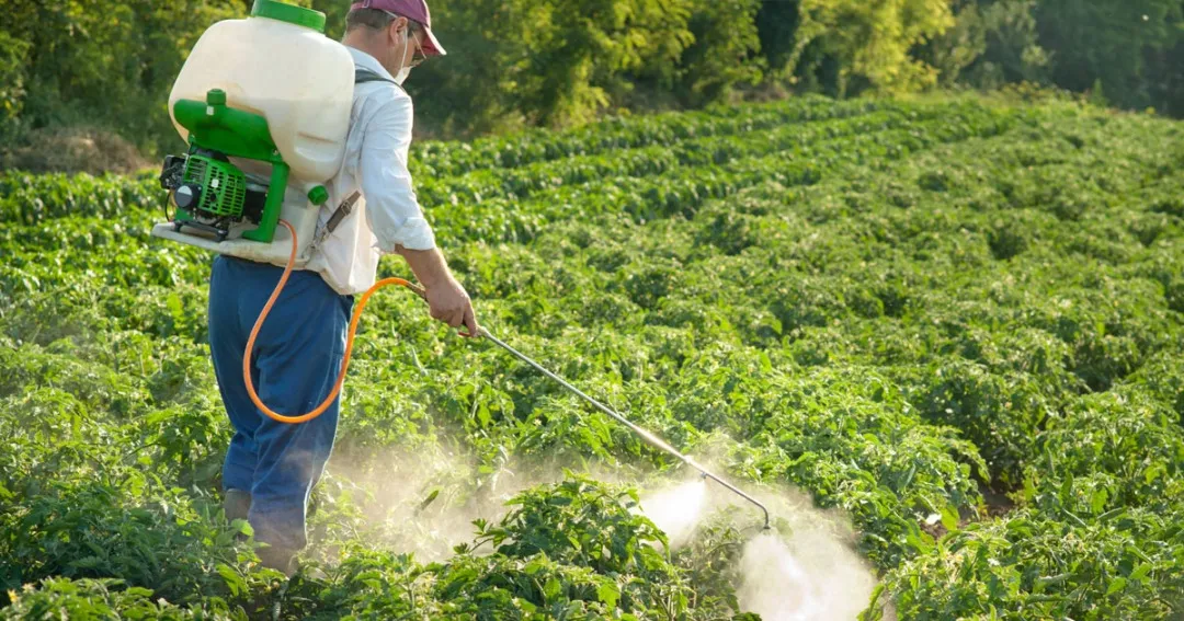 تکذیب تهاتر سموم کشاورزی بی کیفیت چینی به جای پول نفت